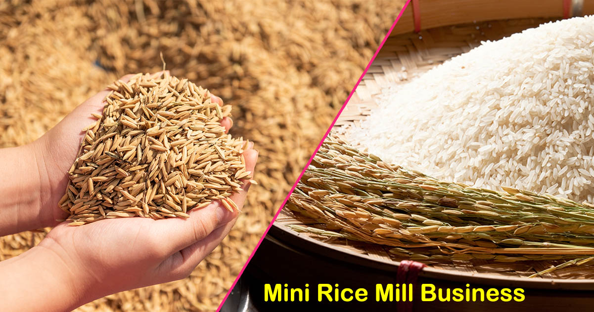 Mini Rice Mill Business | राइस मिल उद्योग क्या है?